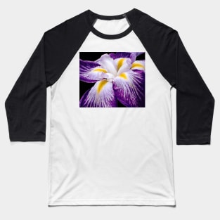 Iris Baseball T-Shirt